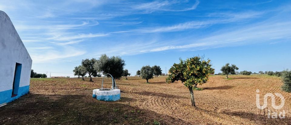 Terreno em Ferreira do Alentejo e Canhestros de 36 000 m²
