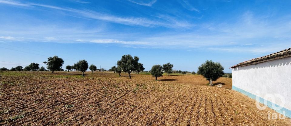 Terreno em Ferreira do Alentejo e Canhestros de 36 000 m²