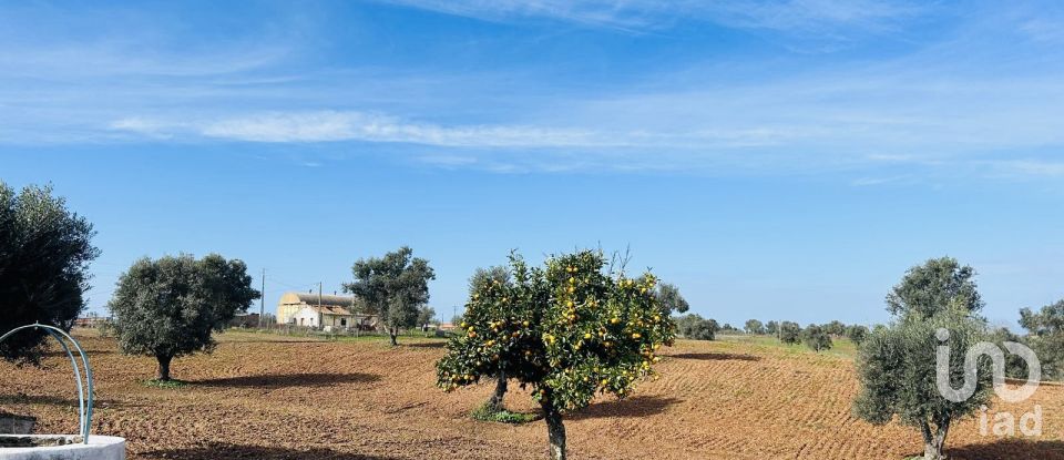 Terreno em Ferreira do Alentejo e Canhestros de 36 000 m²