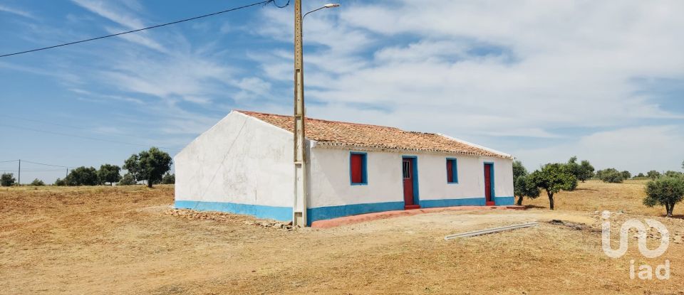 Terreno em Ferreira do Alentejo e Canhestros de 36 000 m²