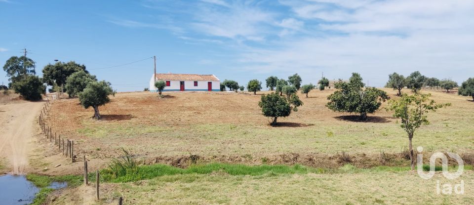 Terreno em Ferreira do Alentejo e Canhestros de 36 000 m²