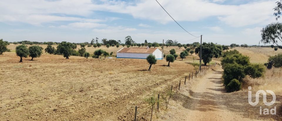 Terreno em Ferreira do Alentejo e Canhestros de 36 000 m²