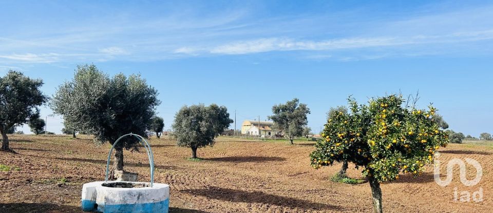 Terreno em Ferreira do Alentejo e Canhestros de 36 000 m²