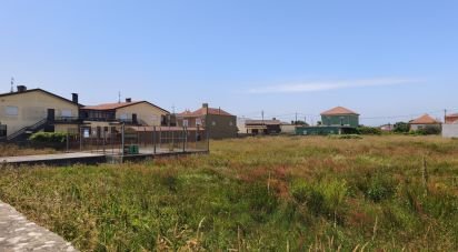 Terrain à bâtir à Murtosa de 2 720 m²