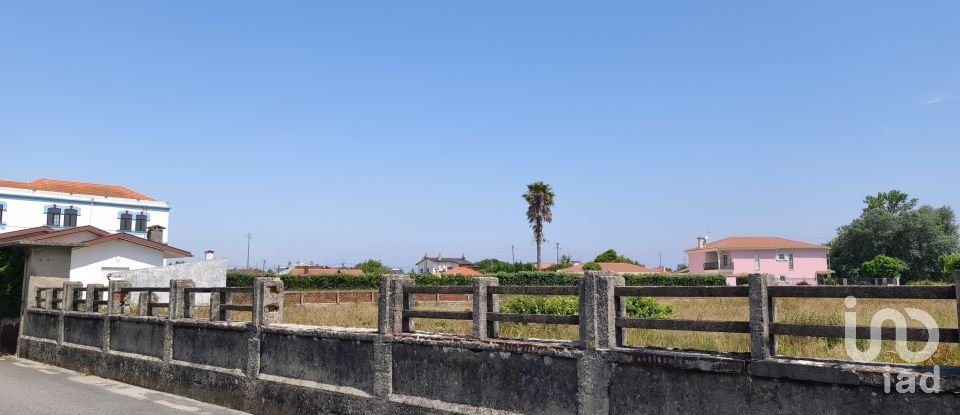 Terreno urbano em Murtosa de 2 720 m²