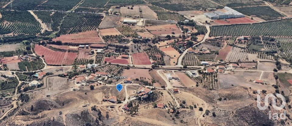 Terreno em Silves de 4 075 m²