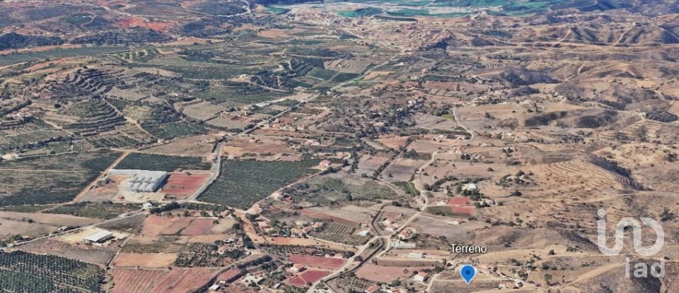 Terreno em Silves de 4 075 m²