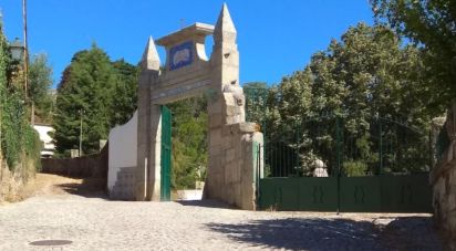 Boutique/Local commercial à Mangualde, Mesquitela e Cunha Alta de 456 m²