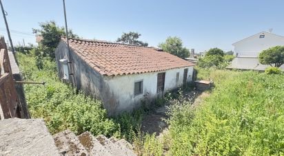 Terreno em Alvarães de 541 m²