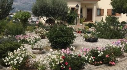 Country home T4 in Folhadela of 459 m²