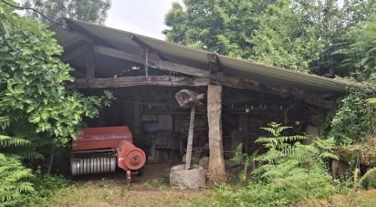 Maison T4 à Moreira de 275 m²