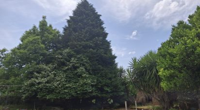 Maison T4 à Moreira de 275 m²