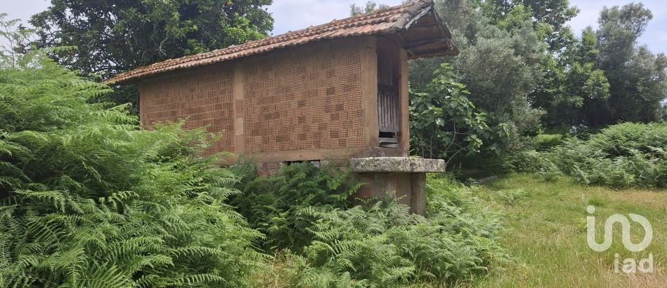 Moradia T4 em Moreira de 275 m²