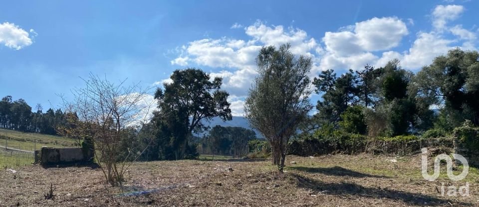 Moradia T4 em Moreira de 275 m²