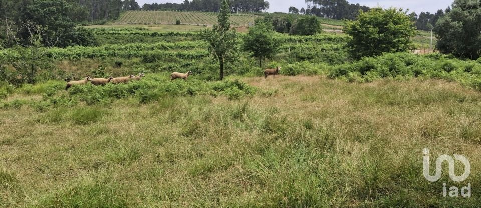 Moradia T4 em Moreira de 275 m²