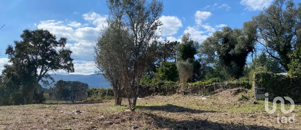 Moradia T4 em Moreira de 275 m²