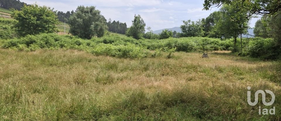 Moradia T4 em Moreira de 275 m²