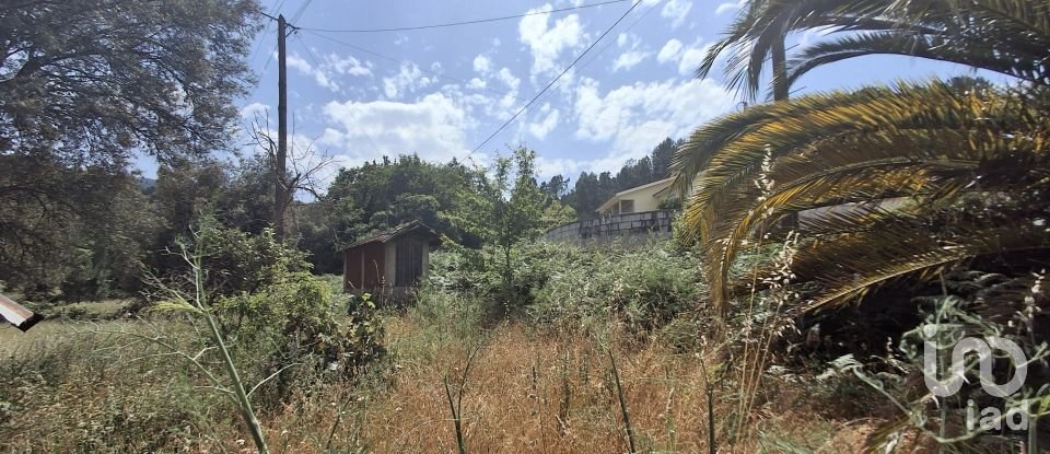 Moradia T4 em Moreira de 275 m²