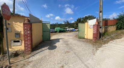 Maison T0 à Santa Maria, São Pedro e Sobral da Lagoa de 42 m²