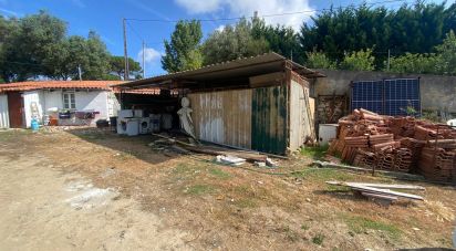 Maison T0 à Santa Maria, São Pedro e Sobral da Lagoa de 42 m²