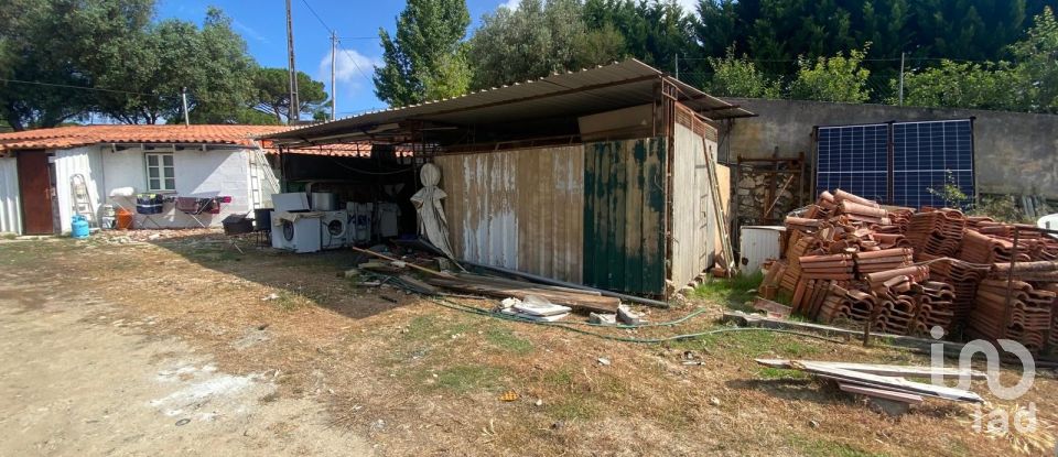 Maison T0 à Santa Maria, São Pedro e Sobral da Lagoa de 42 m²