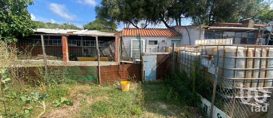 Maison T0 à Santa Maria, São Pedro e Sobral da Lagoa de 42 m²