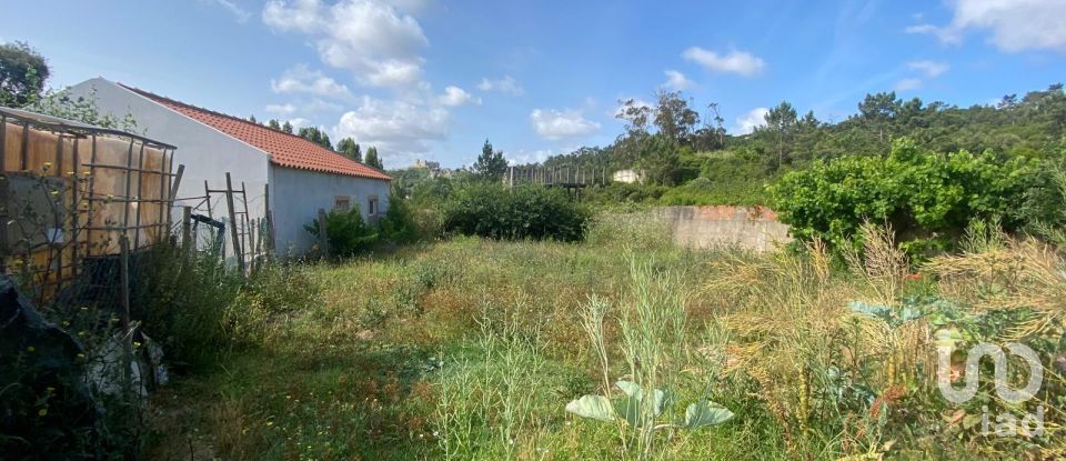 Maison T0 à Santa Maria, São Pedro e Sobral da Lagoa de 42 m²