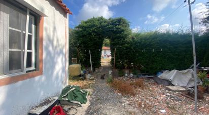 Maison T0 à Santa Maria, São Pedro e Sobral da Lagoa de 42 m²