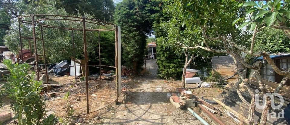 Maison T0 à Santa Maria, São Pedro e Sobral da Lagoa de 42 m²