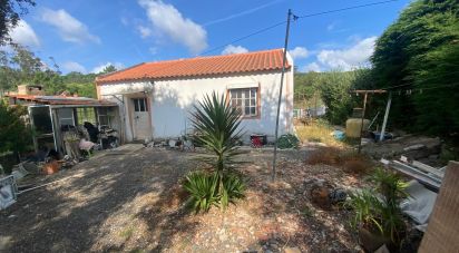 Maison T0 à Santa Maria, São Pedro e Sobral da Lagoa de 42 m²