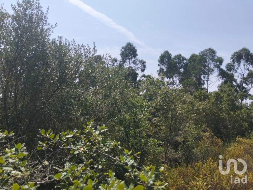 Terreno em Chãos de 1 760 m²