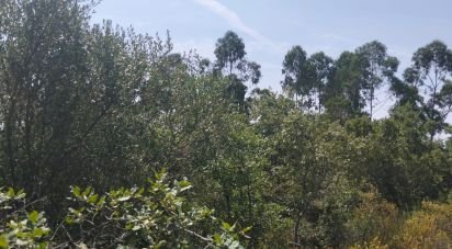 Terrain à Chãos de 1 760 m²