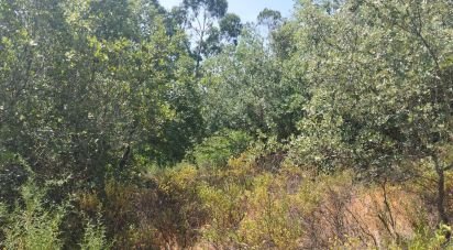 Terrain à Chãos de 1 760 m²