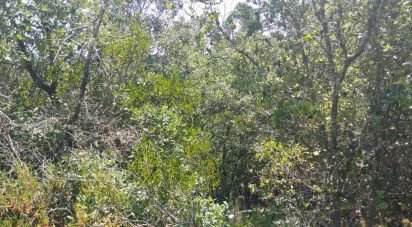 Terrain à Chãos de 1 760 m²