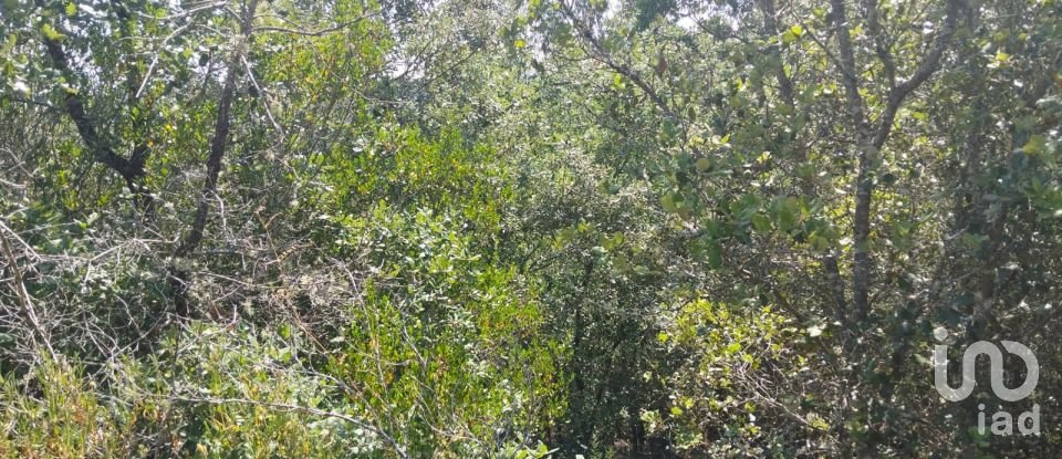 Terreno em Chãos de 1 760 m²