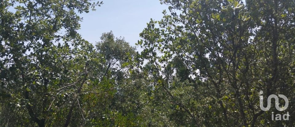 Terreno em Chãos de 1 760 m²