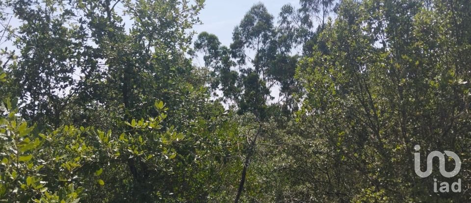 Terreno em Chãos de 1 760 m²