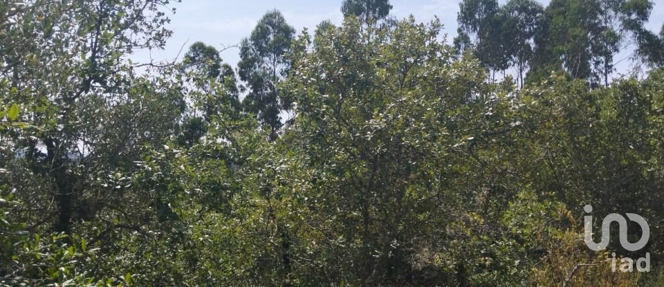 Terreno em Chãos de 1 760 m²