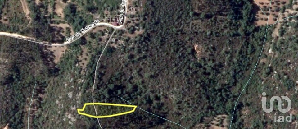 Terreno em Chãos de 1 760 m²