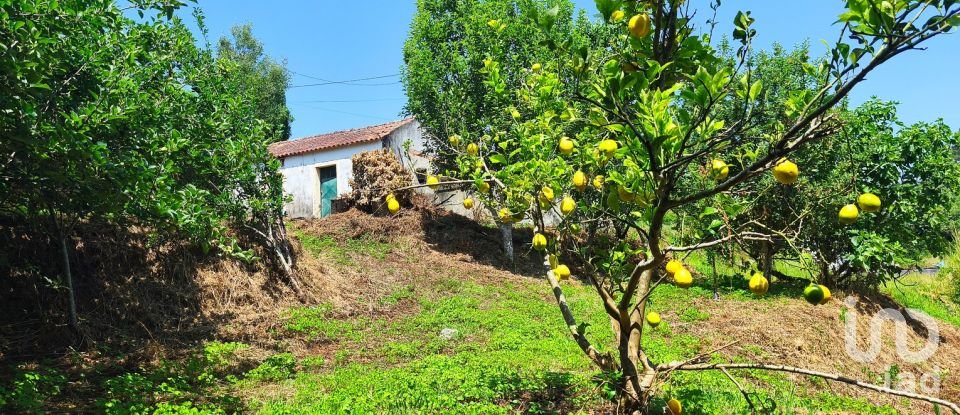 Maison T2 à Lanheses de 76 m²