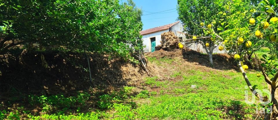 Maison T2 à Lanheses de 76 m²