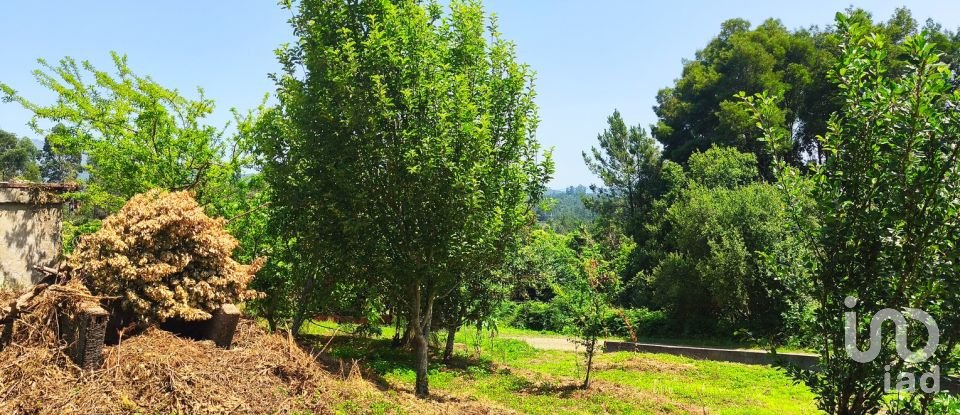 Maison T2 à Lanheses de 76 m²