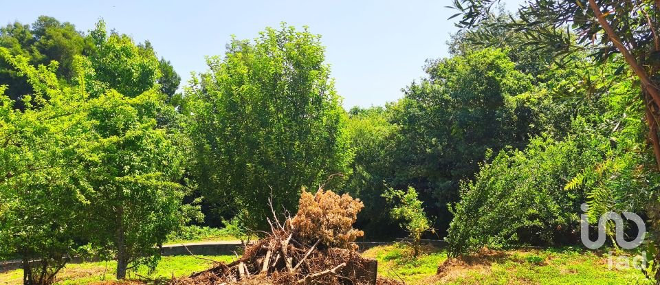 Maison T2 à Lanheses de 76 m²