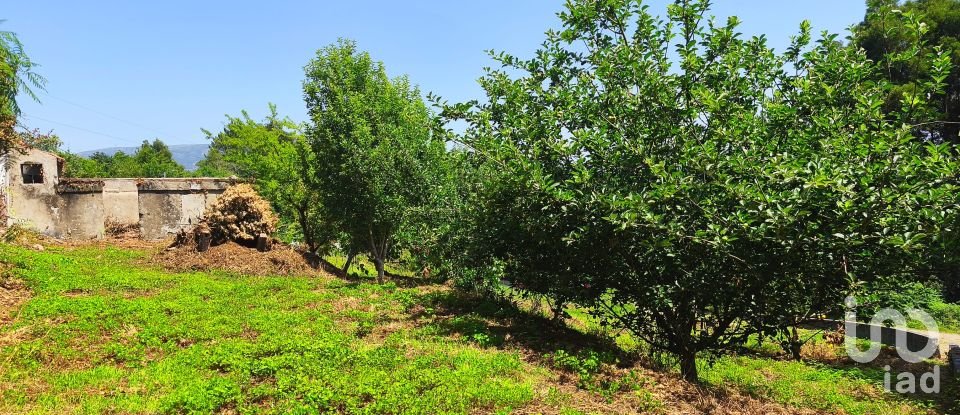 Maison T2 à Lanheses de 76 m²