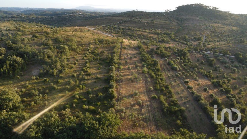 Terrain à Chãos de 8 160 m²