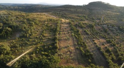 Land in Chãos of 8,160 m²