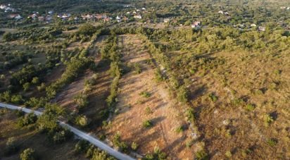 Terrain à Chãos de 8 160 m²