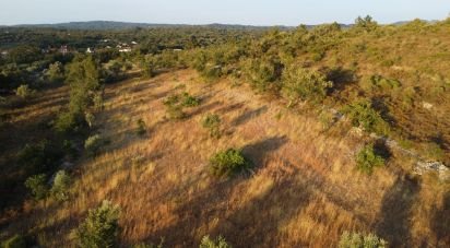 Terrain à Chãos de 8 160 m²