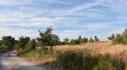 Terrain à Chãos de 8 160 m²