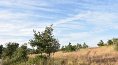 Terrain à Chãos de 8 160 m²